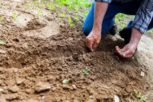 Le S-métolachlore est un herbicide largement utilisé dans l&rsquo;agriculture pour lutter contre les mauvaises herbes et les plantes indésirables. Cependant, il est également au cœur d&rsquo;un débat sur la protection de l&rsquo;environnement et la préservation des nappes phréatiques. Dans cet [&hellip;]
