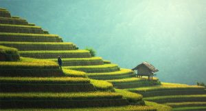 La transition écologique est un processus essentiel pour assurer l&rsquo;équilibre entre les enjeux sociaux et environnementaux de notre planète. Elle vise à transformer nos modes de production et de consommation, pour réduire notre impact sur l&rsquo;environnement et préserver les ressources [&hellip;]