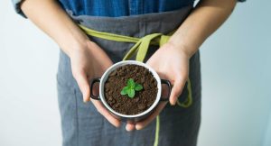 Dans notre société actuelle, la prise de conscience de l&rsquo;impact environnemental de nos choix de consommation est essentielle pour préserver notre planète. L&rsquo;utilisation de produits écologiques dans notre quotidien participe à la protection de l&rsquo;environnement et à la réduction de [&hellip;]